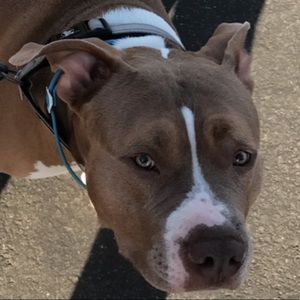 Meet your Posher, Eve